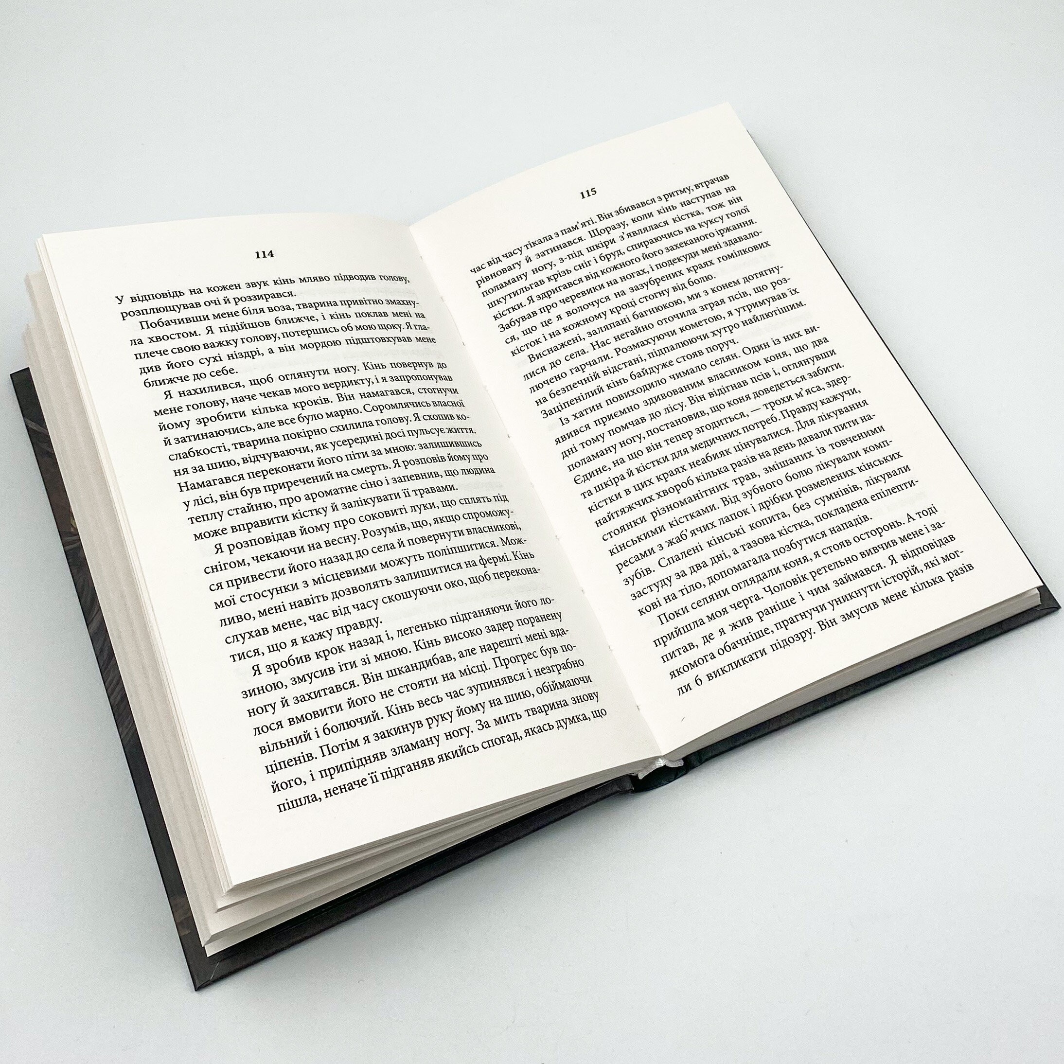 Розфарбований птах