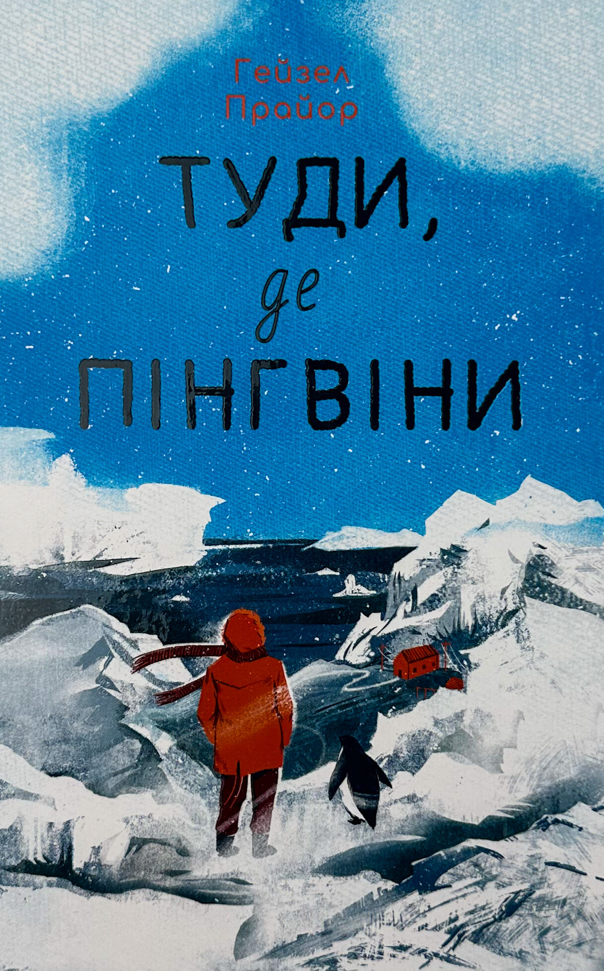 Туди, де пінгвіни