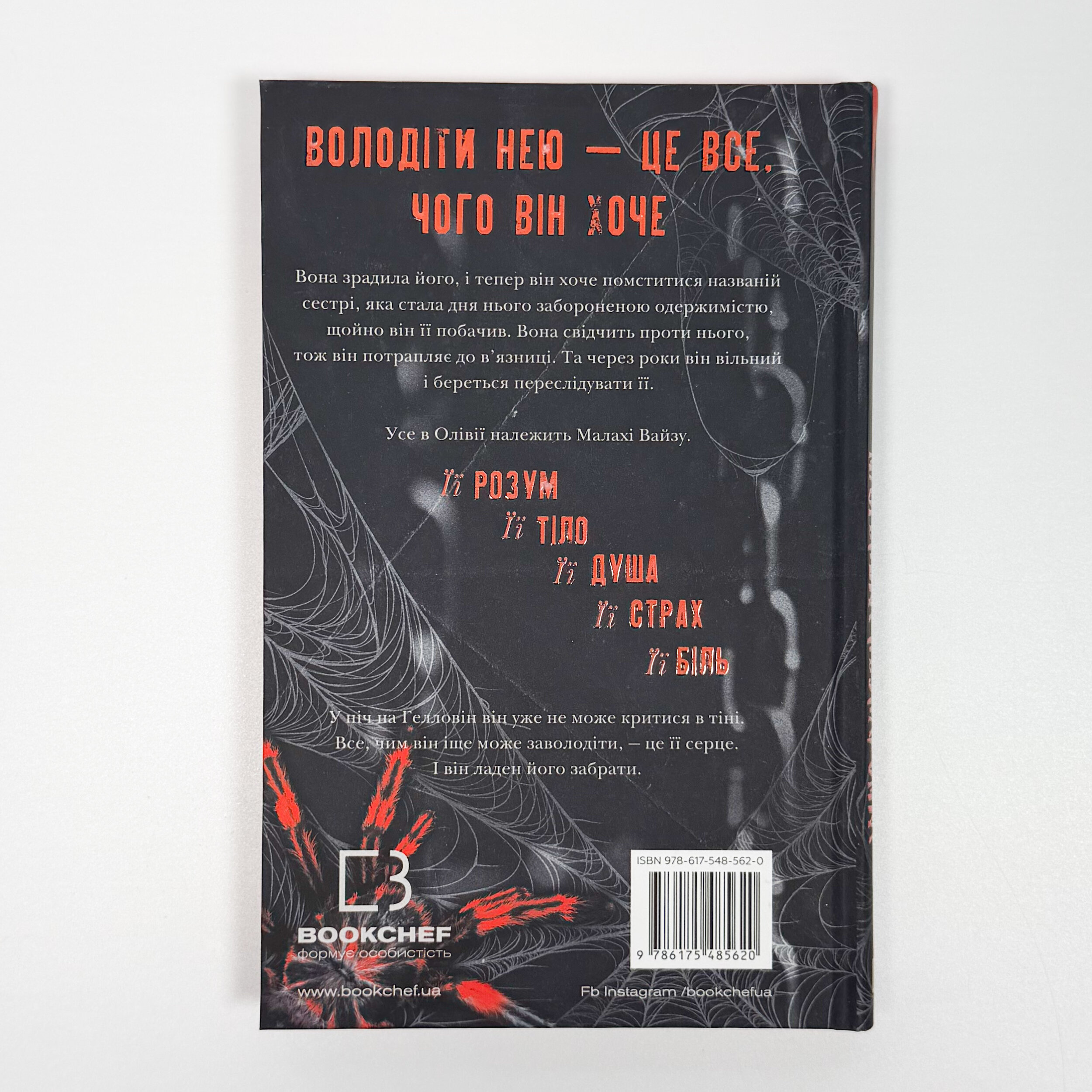 Маленька незнайомка. Книга 1. Павутина мовчання.. Автор — Лі Ріверс. 