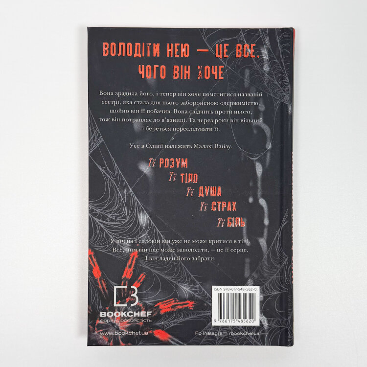 Маленька незнайомка. Книга 1. Павутина мовчання.