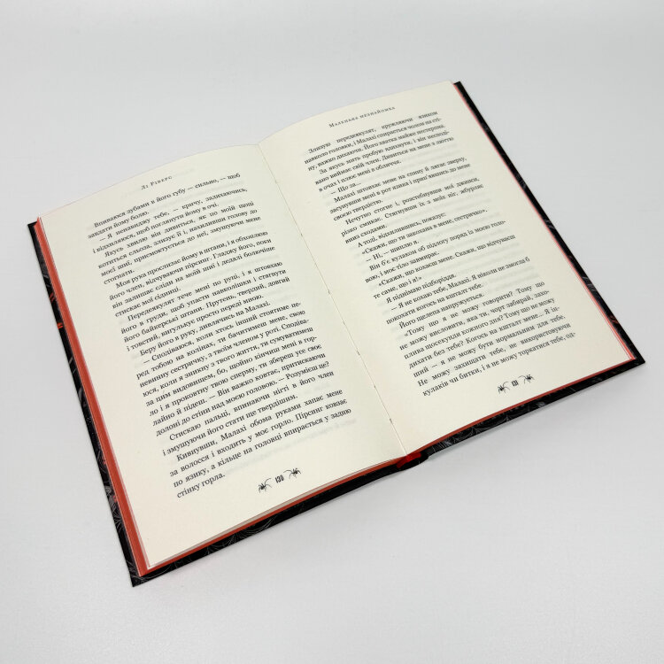 Маленька незнайомка. Книга 1. Павутина мовчання.