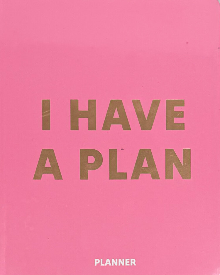 Планер «I HAVE A PLAN» рожевий