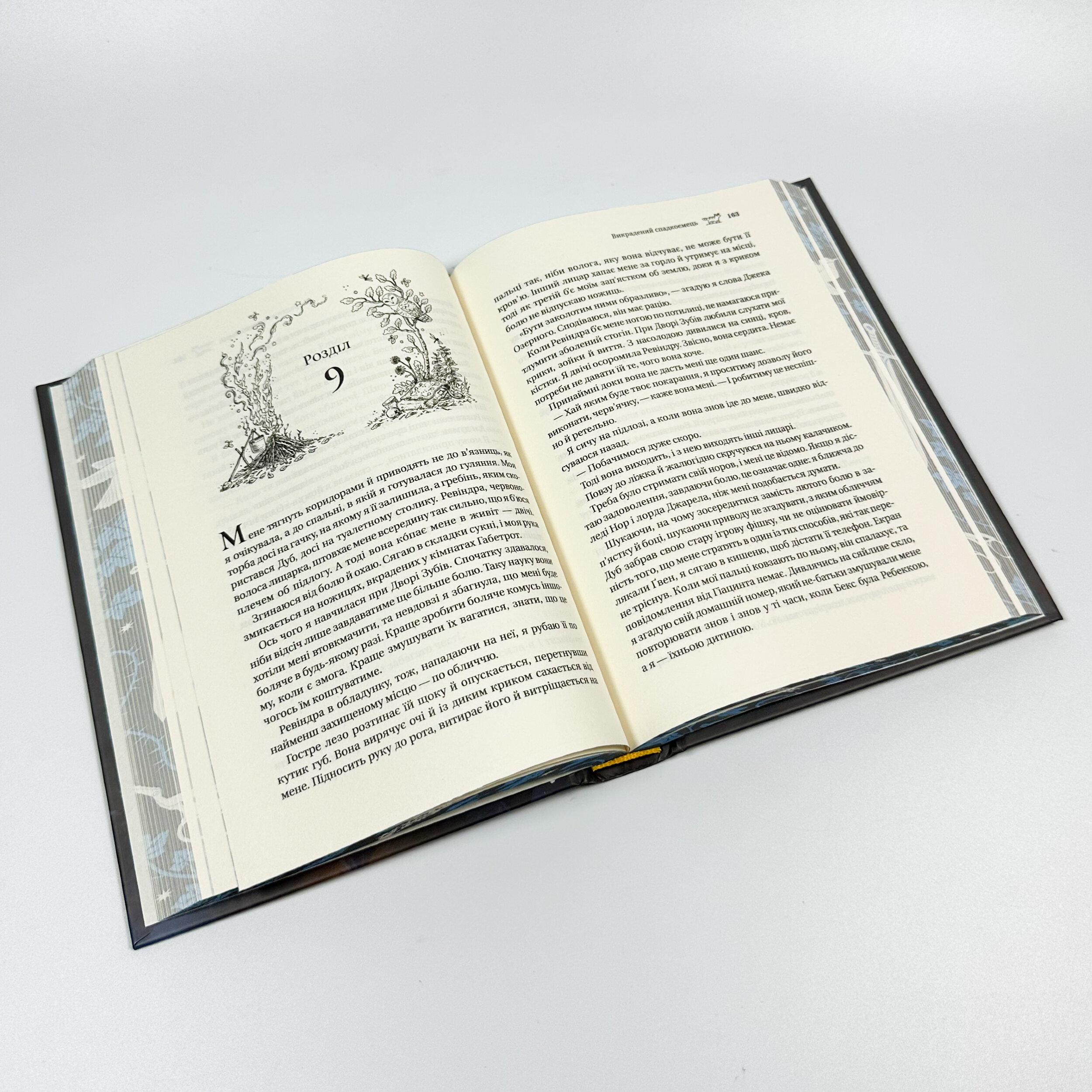 Викрадений спадкоємець. Автор — Голлі Блек. 