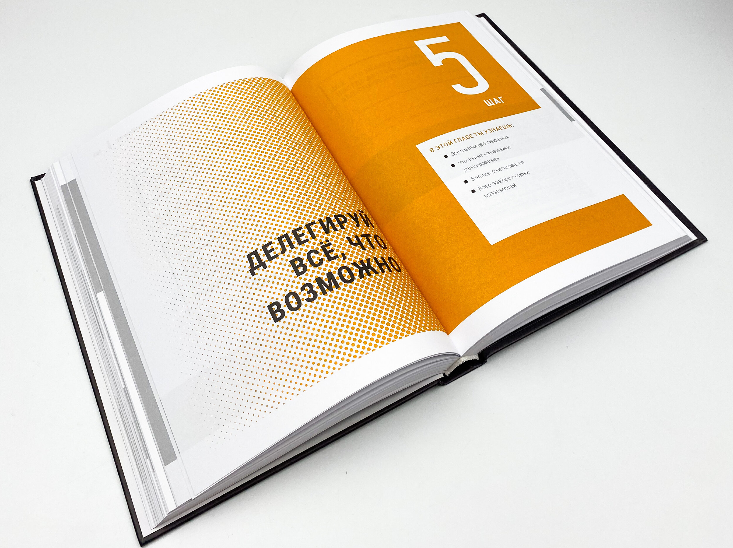 Жизнь без лени и прокрастинации. Автор — Ицхак Пинтосевич. 