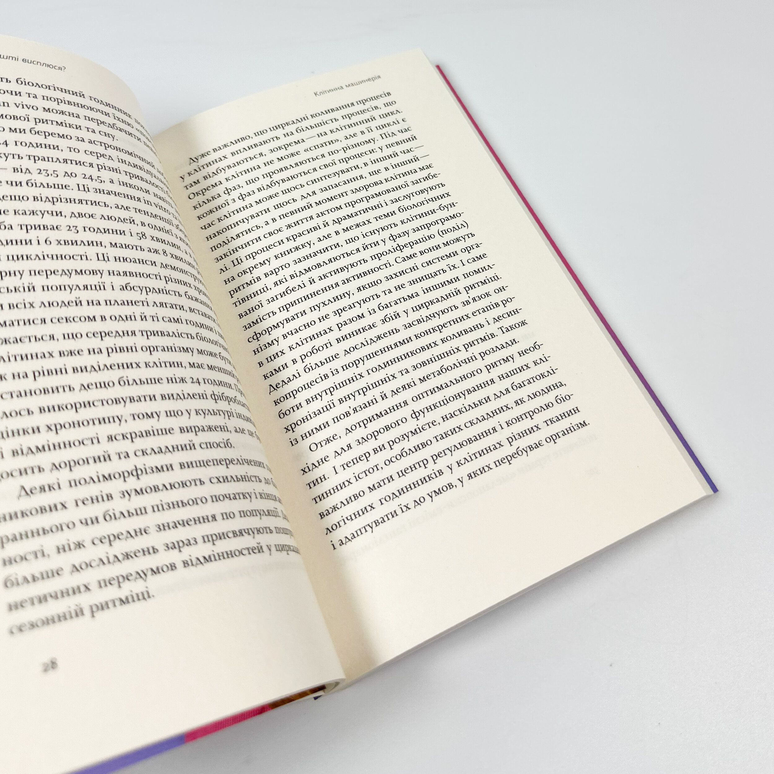 Коли я нарешті висплюся. Автор — Ольга Маслова, Ника Бельская. 