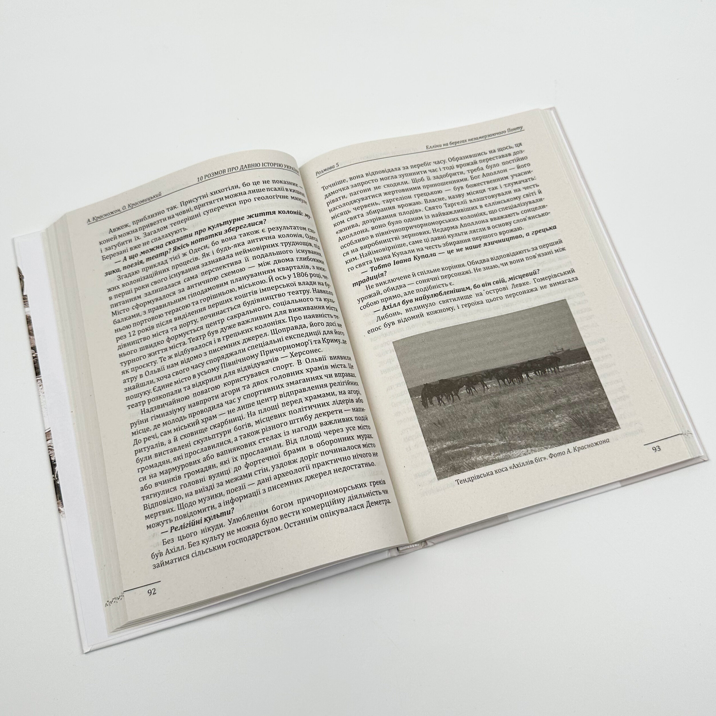 10 розмов про давню історію України. Автор — Олександр Красовицький, Андрій Красножон. 