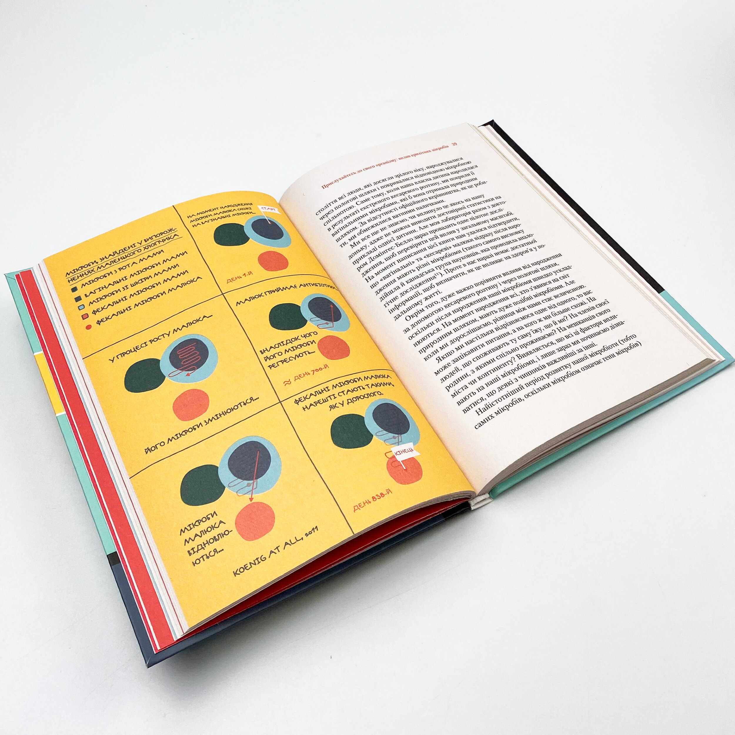 Перше враження. Автор — Кідд Чіп. 