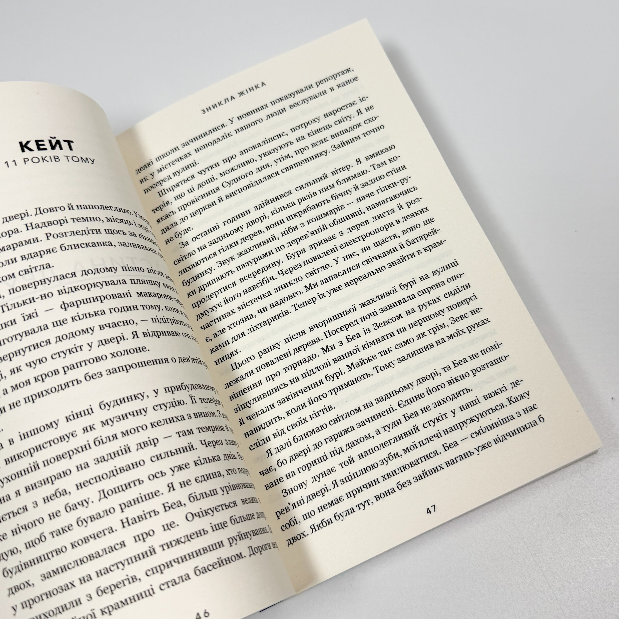 Зникла жінка (pocketbook)