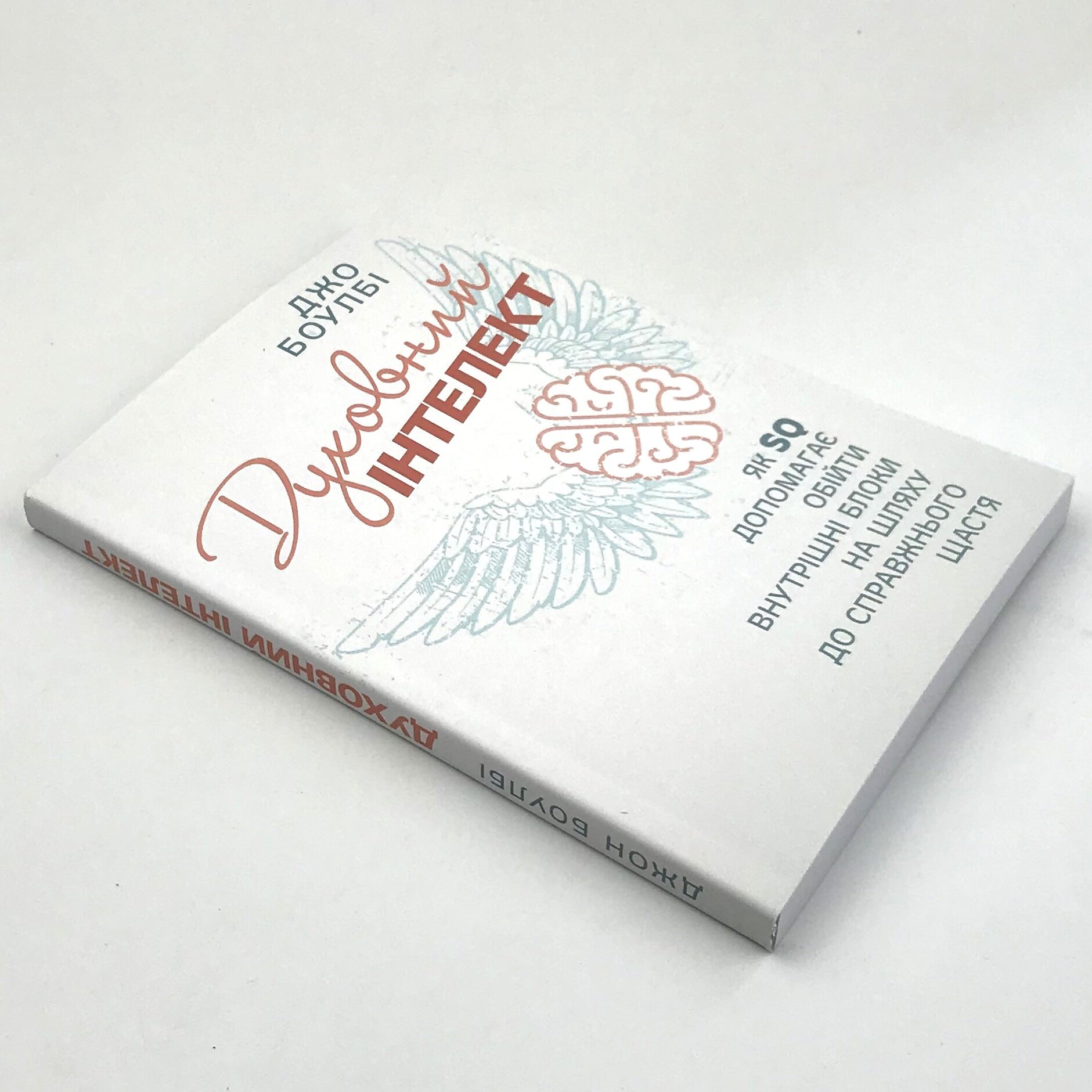 Духовний інтелект. Як SQ допомагає обійти внутрішні блоки на шляху до справжнього щастя