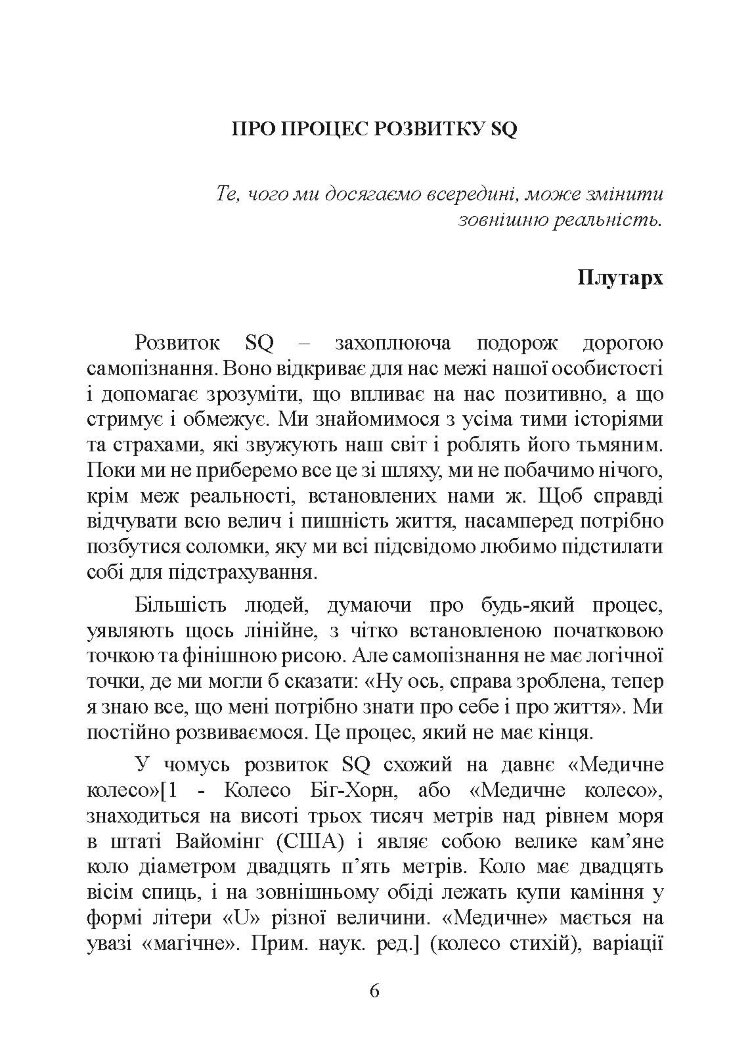 Духовний інтелект. Як SQ допомагає обійти внутрішні блоки на шляху до справжнього щастя