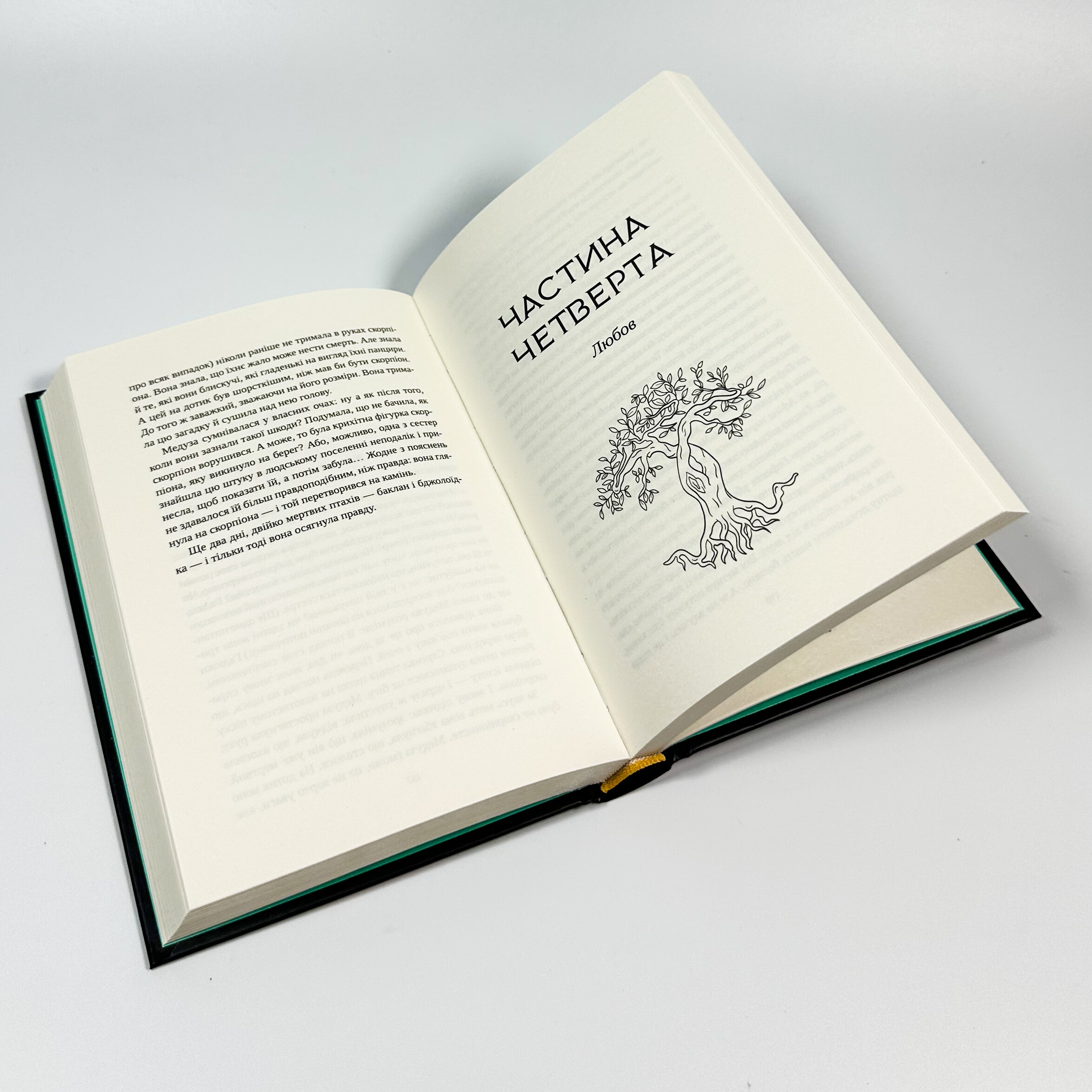 Сліпа лють. Автор — Наталі Гейнс. 