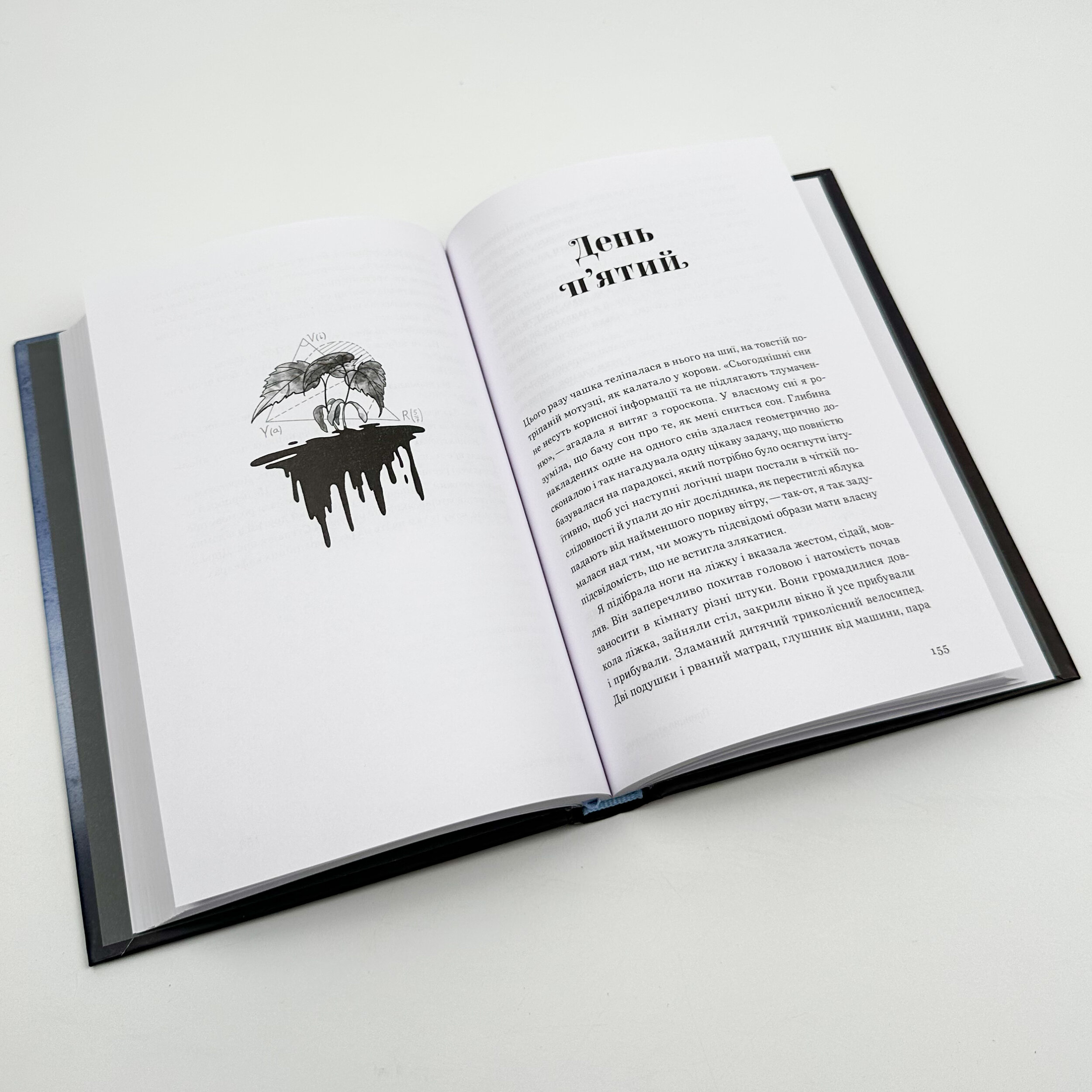 Принцип втручання. Автор — Горіха Зерня. 