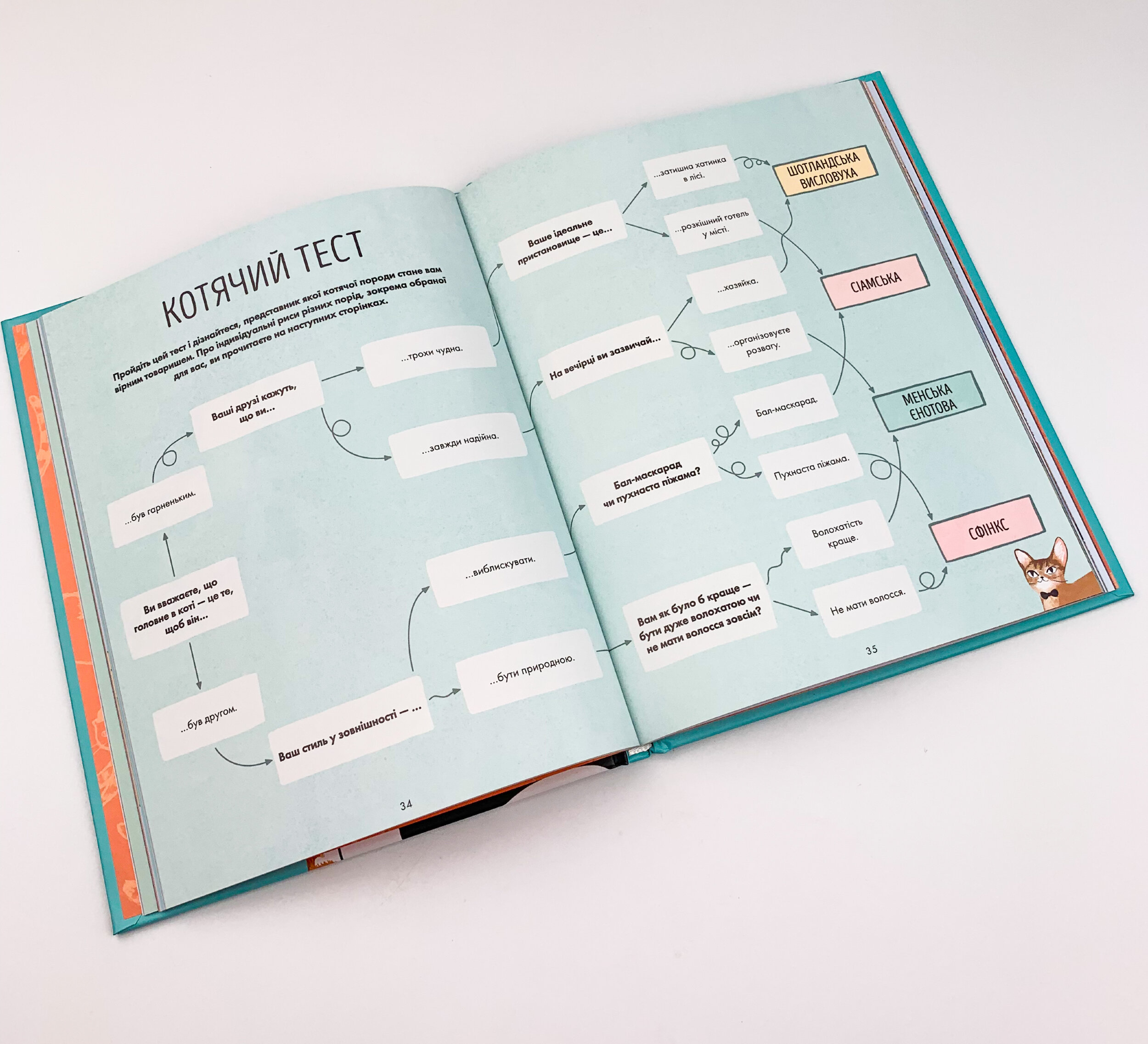 За кожною видатною жінкою стоїть видатна котяча особистість. Автор — Джастин Соломонс-Моут. 