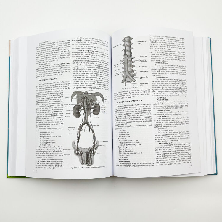 Topographical Anatomy and Operative Surgery