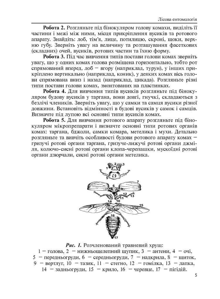 Лісова ентомологія