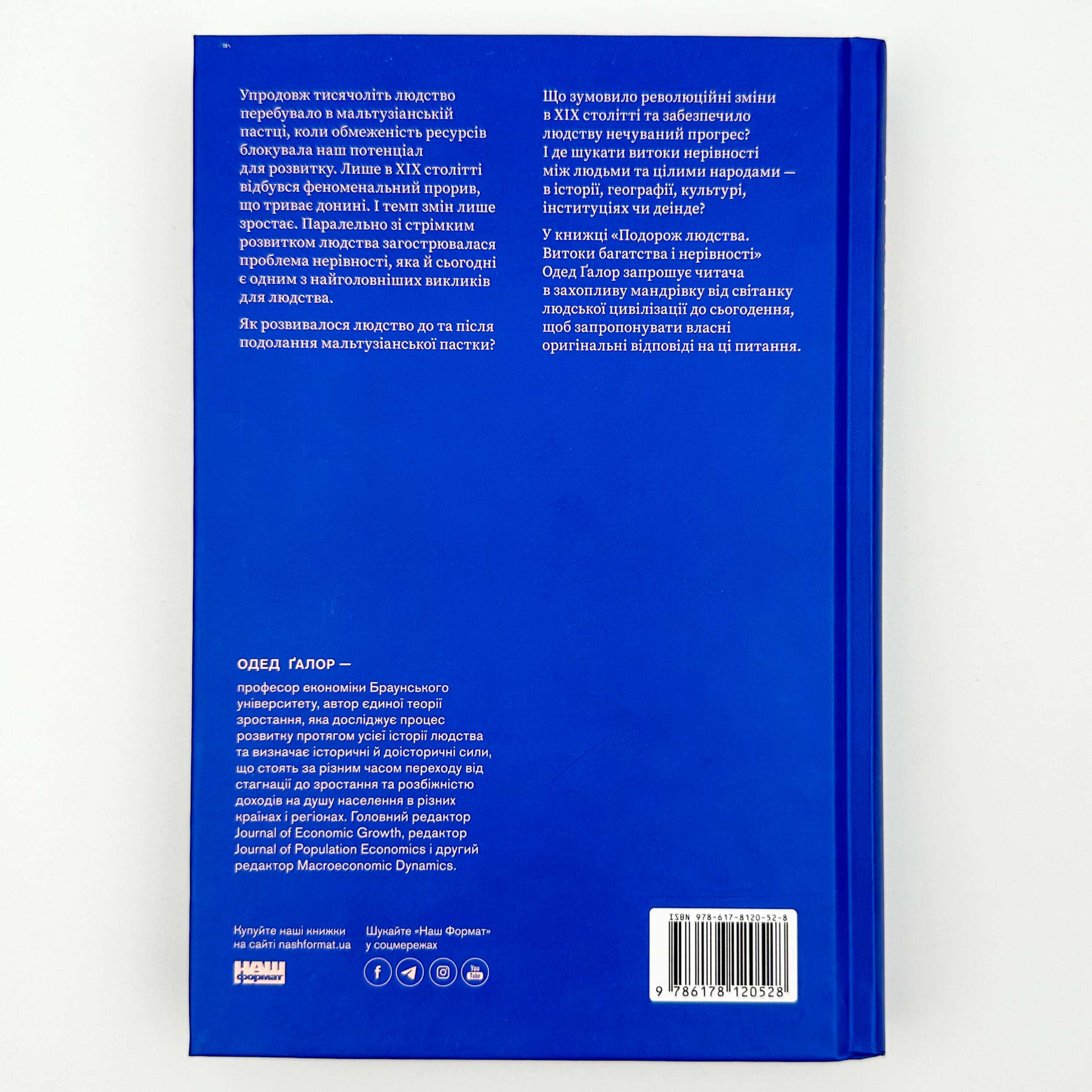 Універсальна теорія котиків в інтернеті. Автор — Еліз Вайт. 