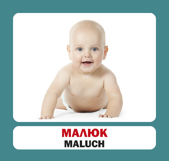 Сім'я. Польсько-українські картки. . 