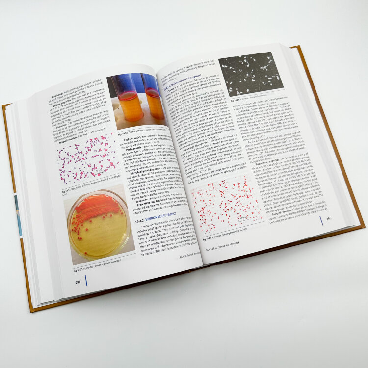 Medical Microbiology, Virology and Immunology
