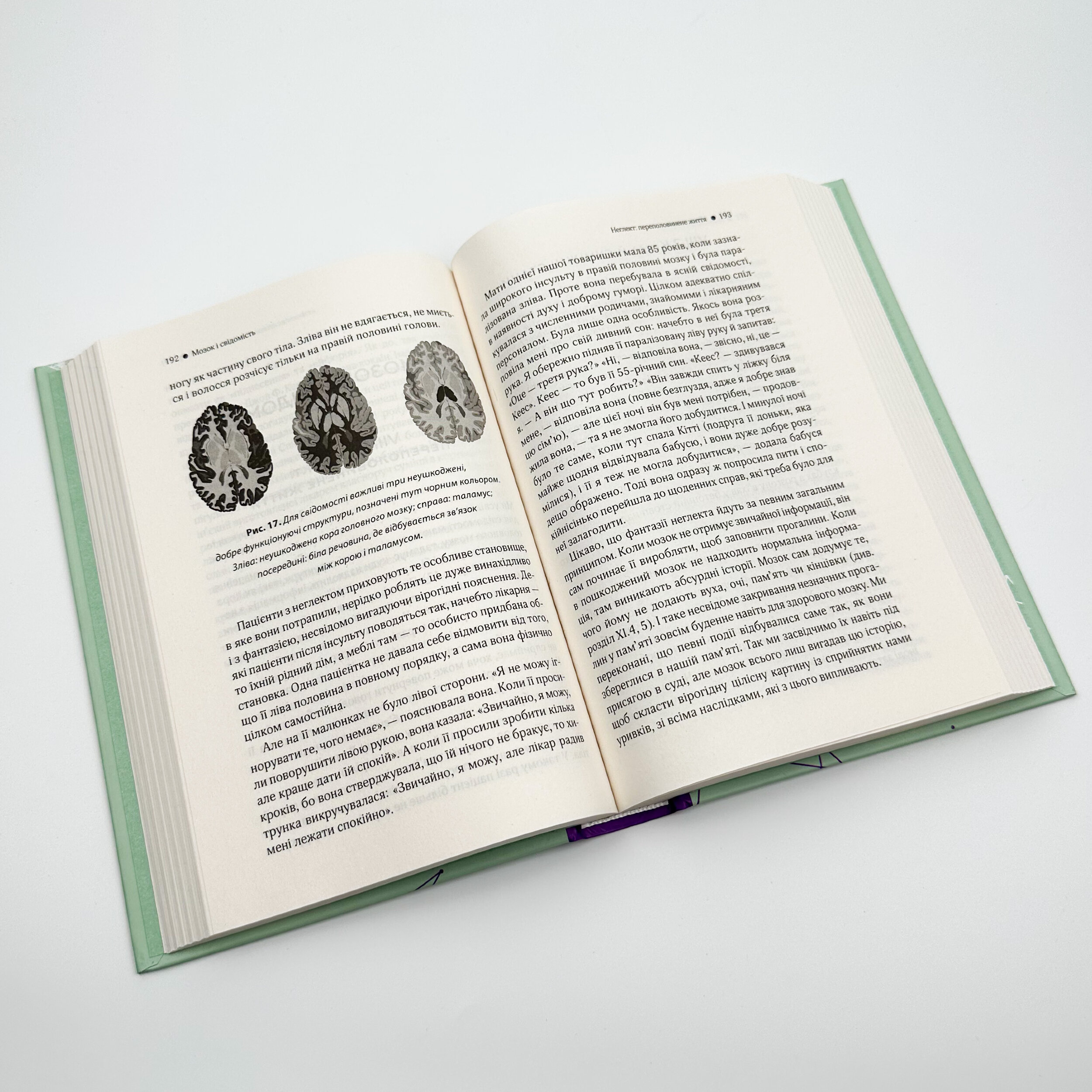 Ми - це наш мозок. Від зародження до забуття. Автор — Дік Свааб. 