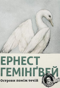 Острови поміж течій