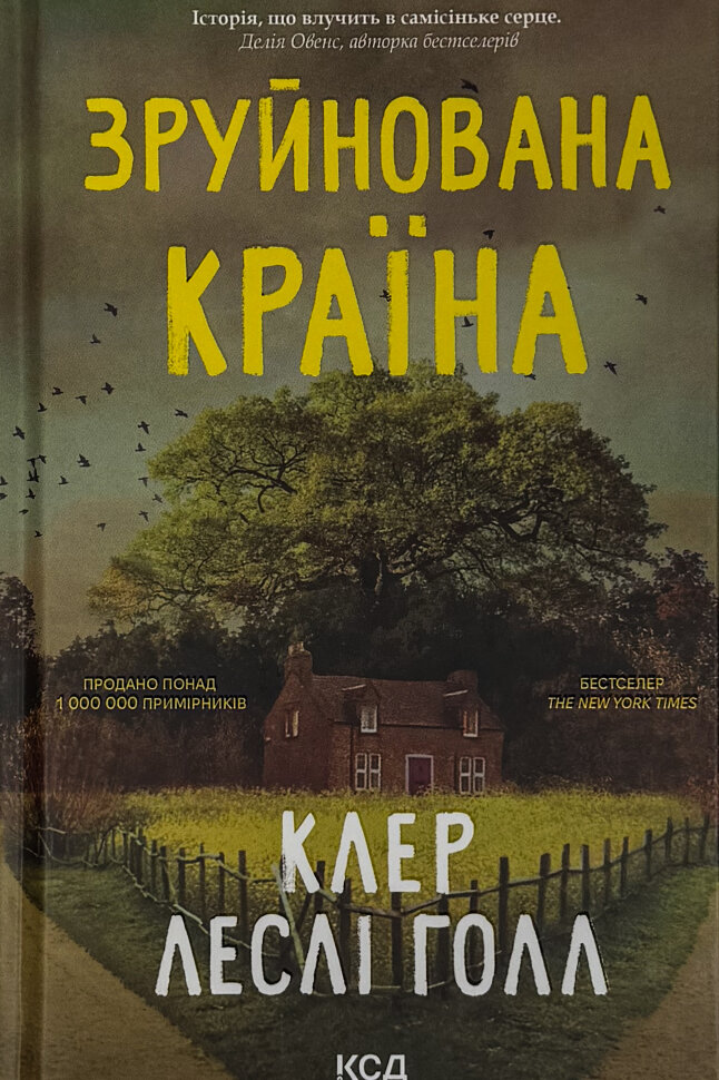 Зруйнована країна. Автор — Клер Леслі Голл. Обкладинка — твердий