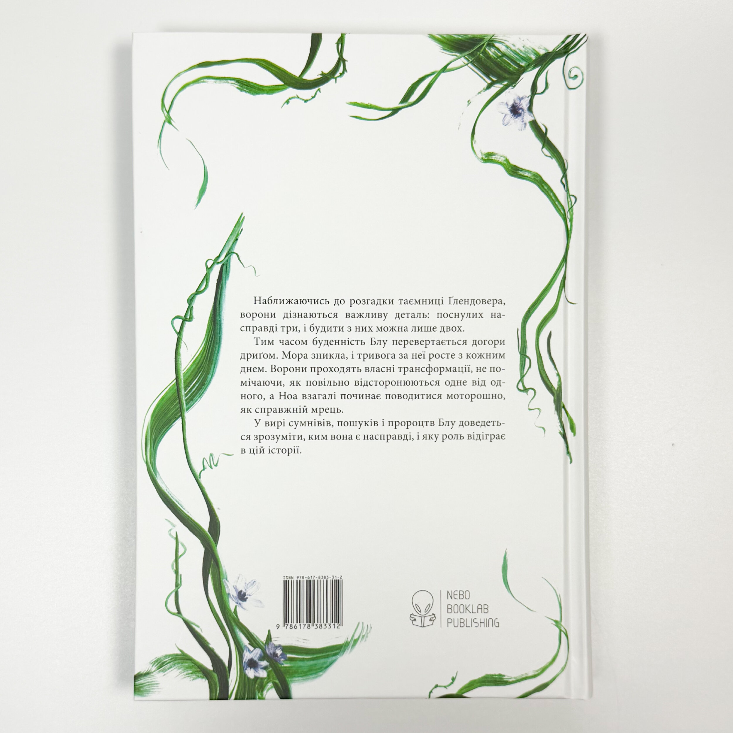 Синя лілія, лілія Блу. Книга 3. Автор — Меґґі Стівотер. 