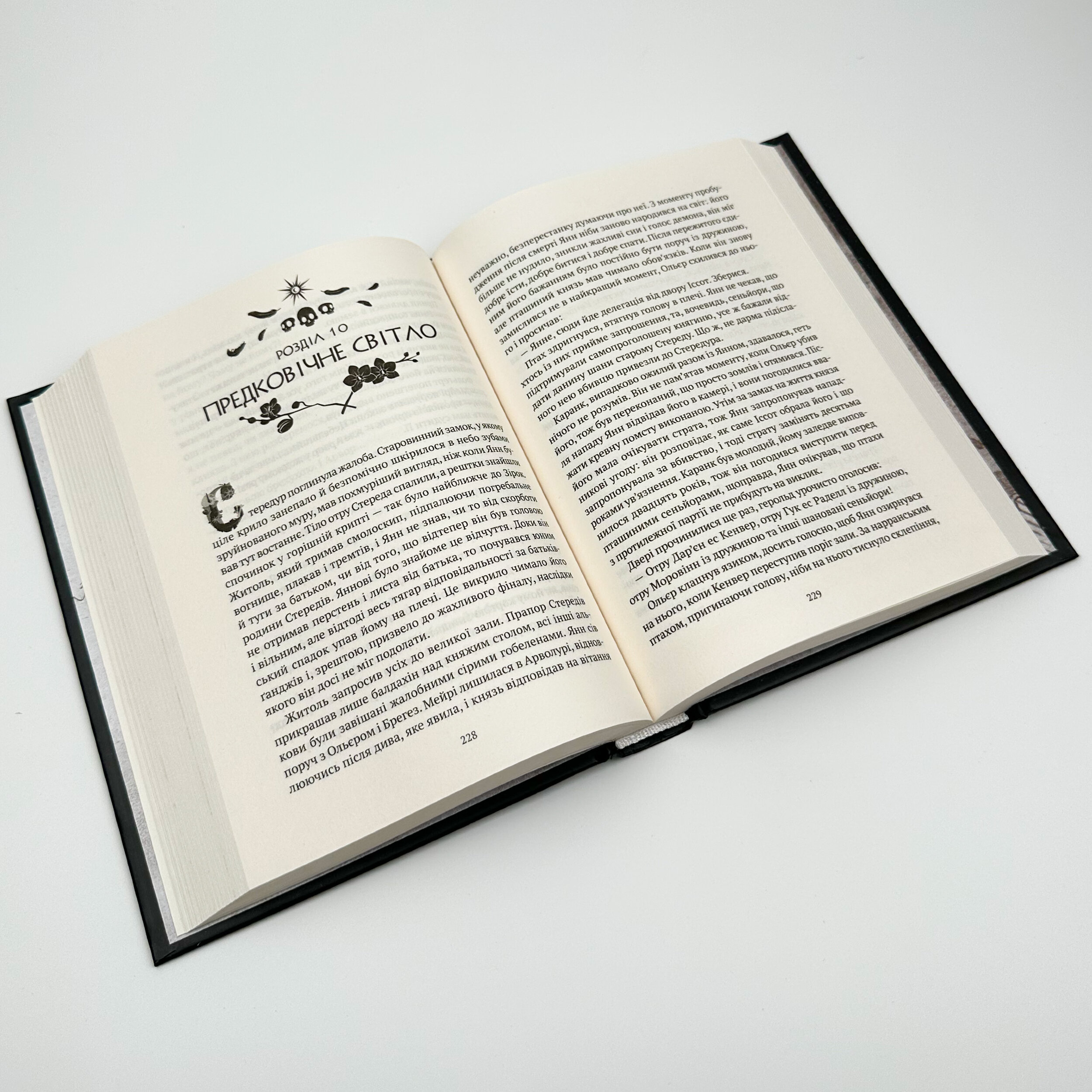 Земля Крилатих. Трилогія «Замок із кришталю». Книга 2. Автор — Ірина Грабовська. 