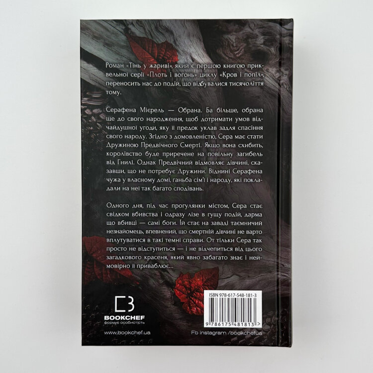 Плоть і вогонь. Книга 1: Тінь у жариві