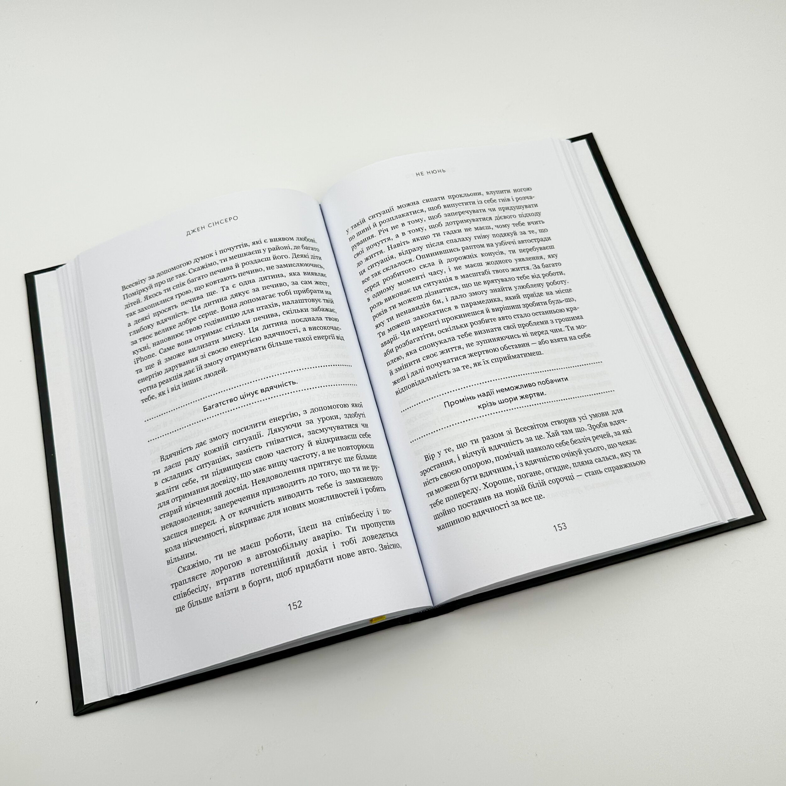 Не нюнь. Перестань скаржитися на долю, подолай страх безгрошів'я і досягни фінансового успіху. Автор — Джен Сінсеро. 