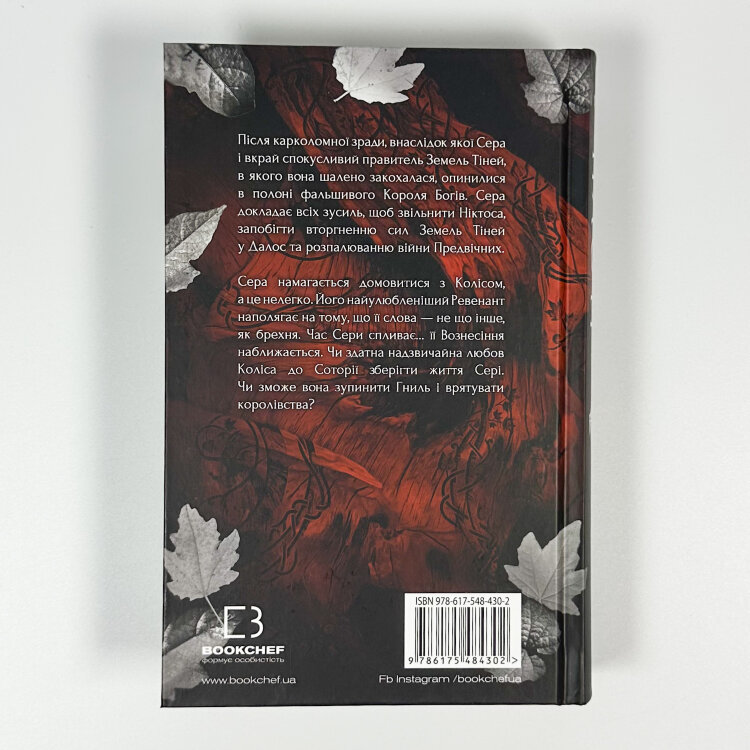 Плоть і вогонь. Книга 3: Вогонь у плоті