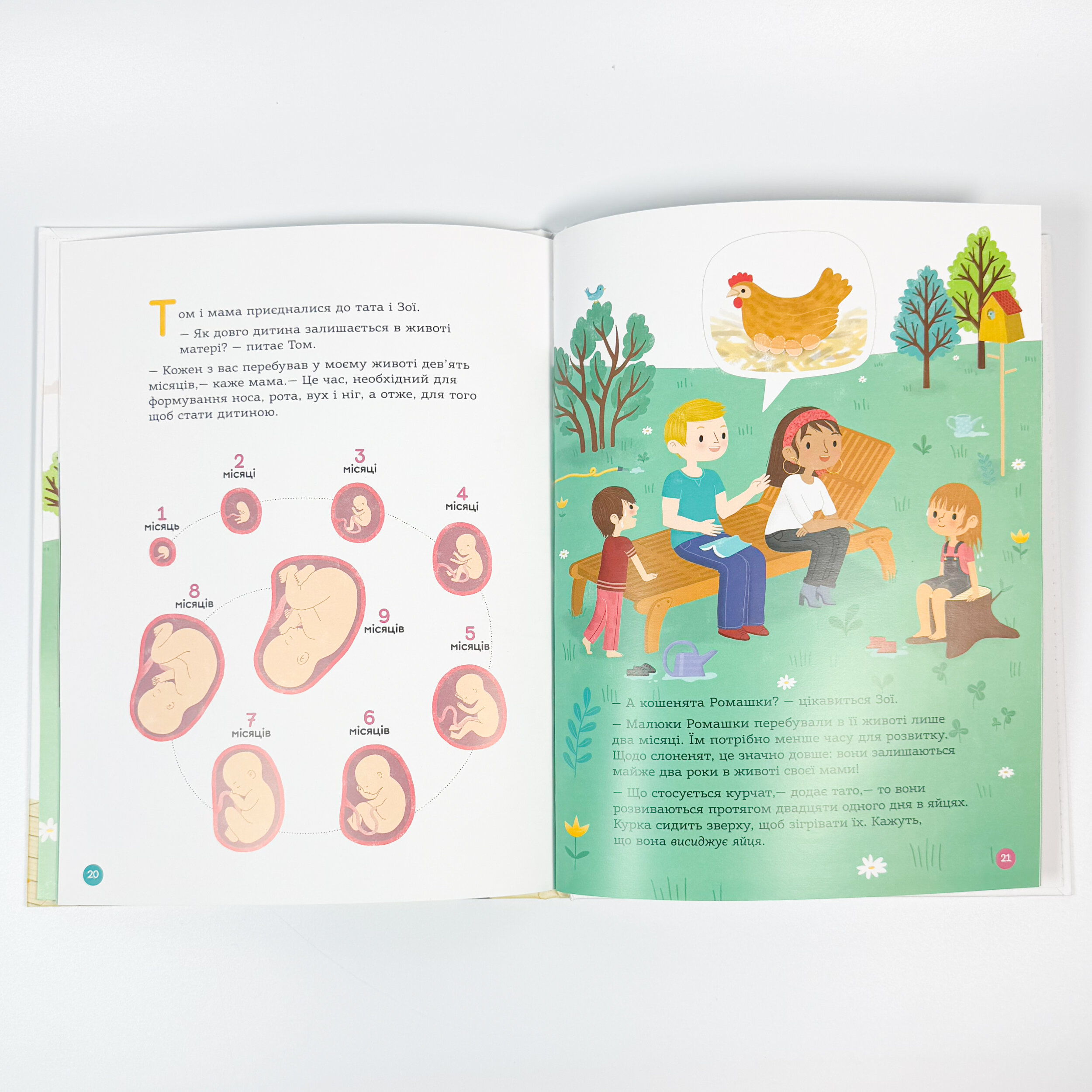 Книга Енциклопедія статевого життя. 4-6 років