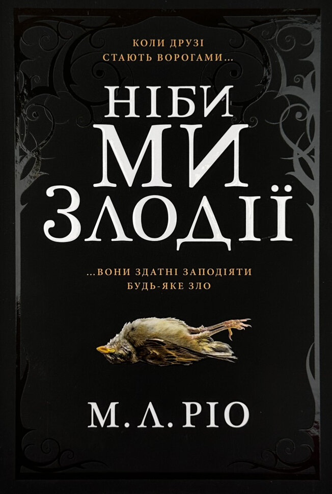 Ніби ми злодії (Limited edition). Автор — М. Л. Ріо. Обкладинка — Тверда
