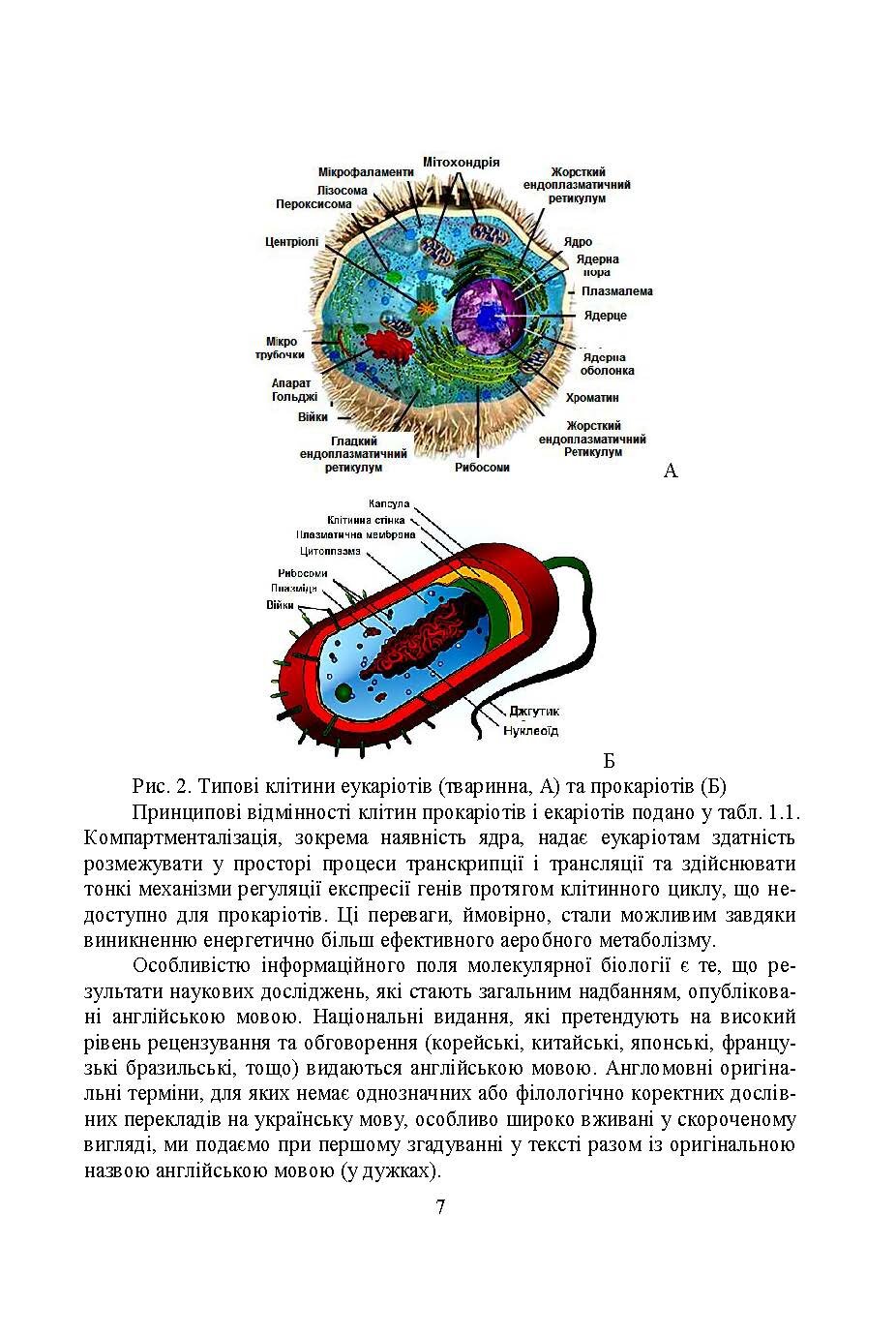 Молекулярна біологія  (2019 год). Author — Столяр О.Б.. 