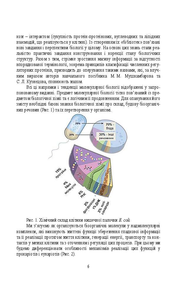 Молекулярна біологія