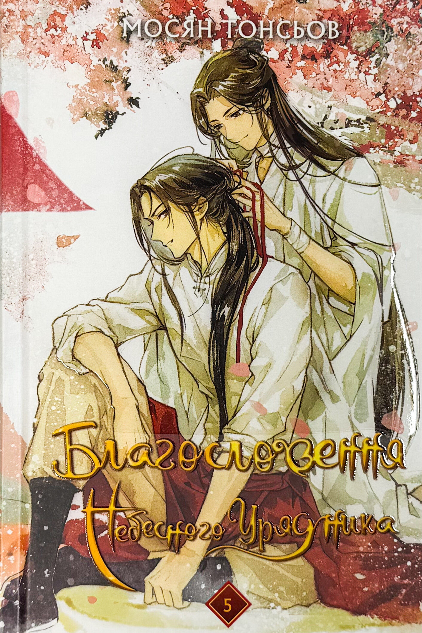 Благословення Небесного Урядника. Том 5 (Подарункове видання)