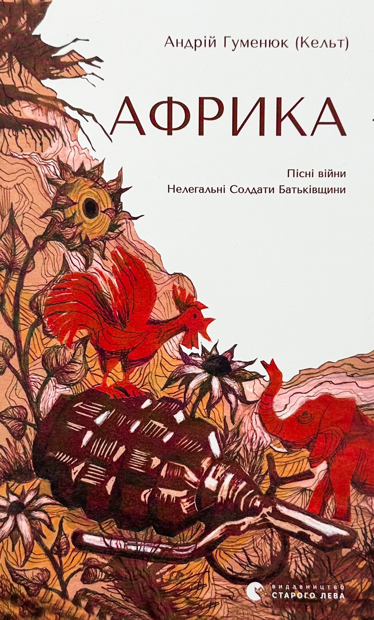 Африка. Пісні війни. Нелегальні Солдати Батьківщини