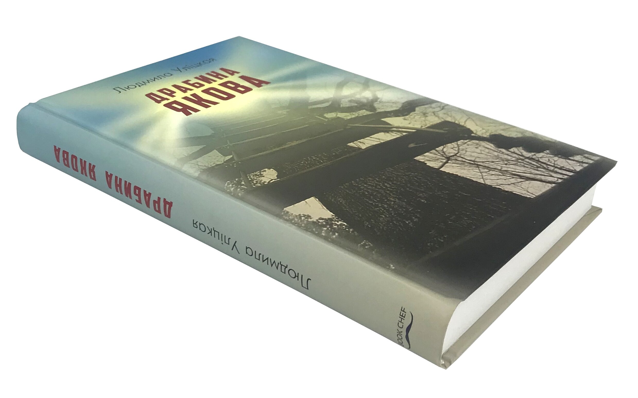 Драбина Якова. Автор — Людмила Улицкая. 