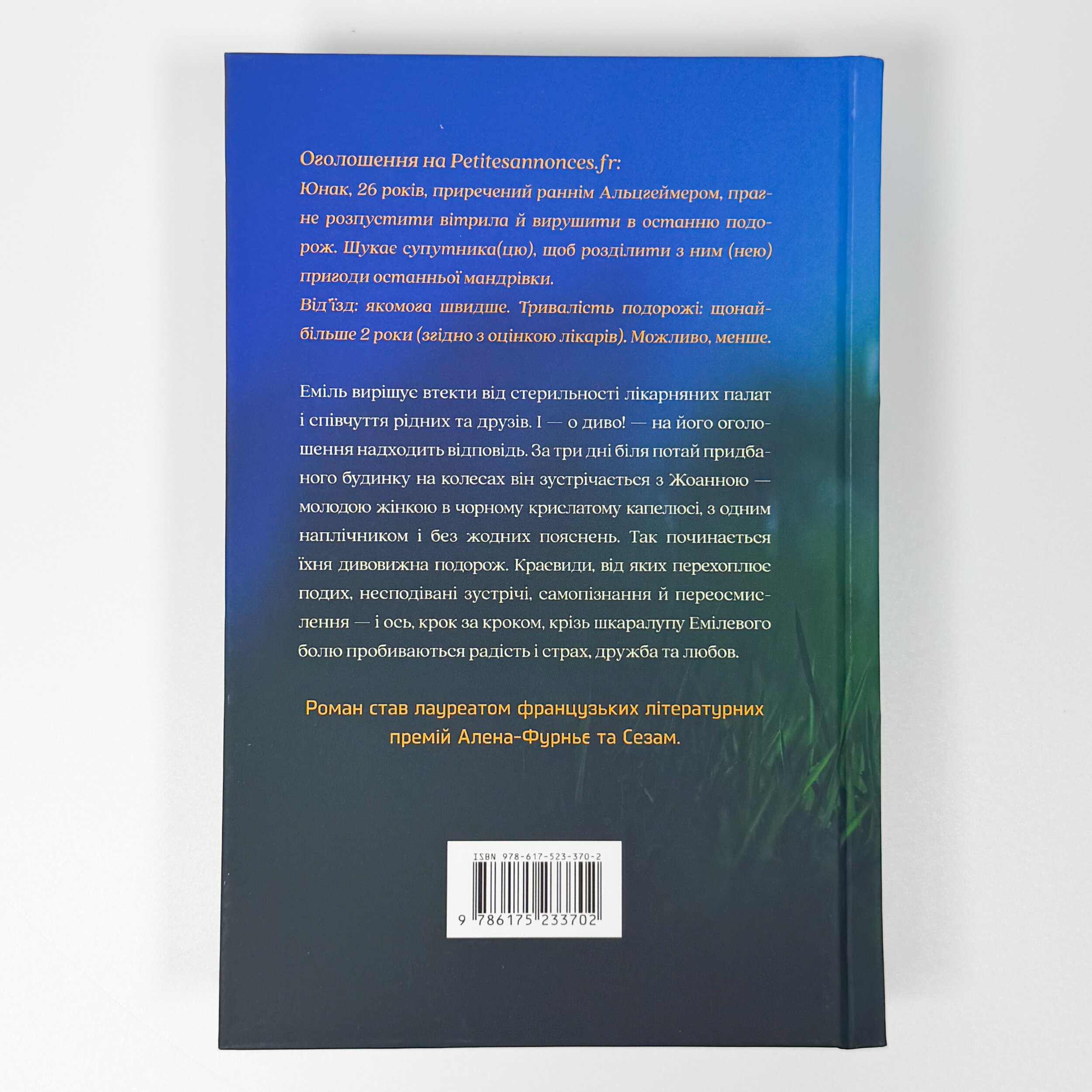 Уся небесна синь. Автор — Мелісса Да Коста. 