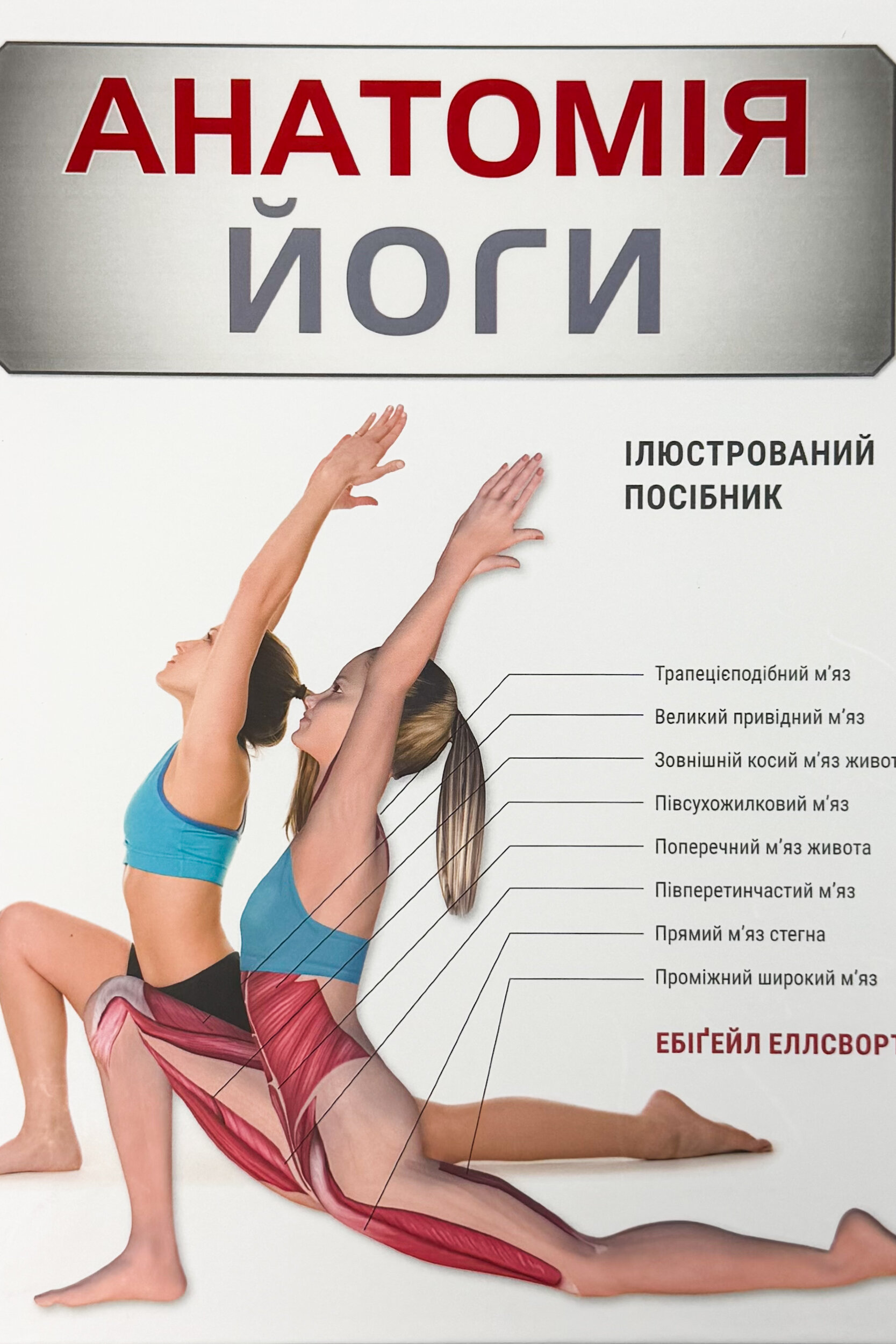 Анатомія йоги. Ілюстрований посібник