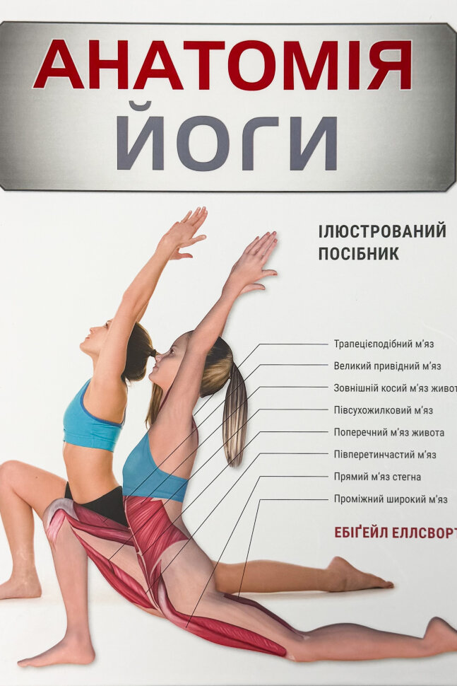 Анатомія йоги. Ілюстрований посібник. Автор — Ебіґейл Еллсворт. Обложка — твердая
