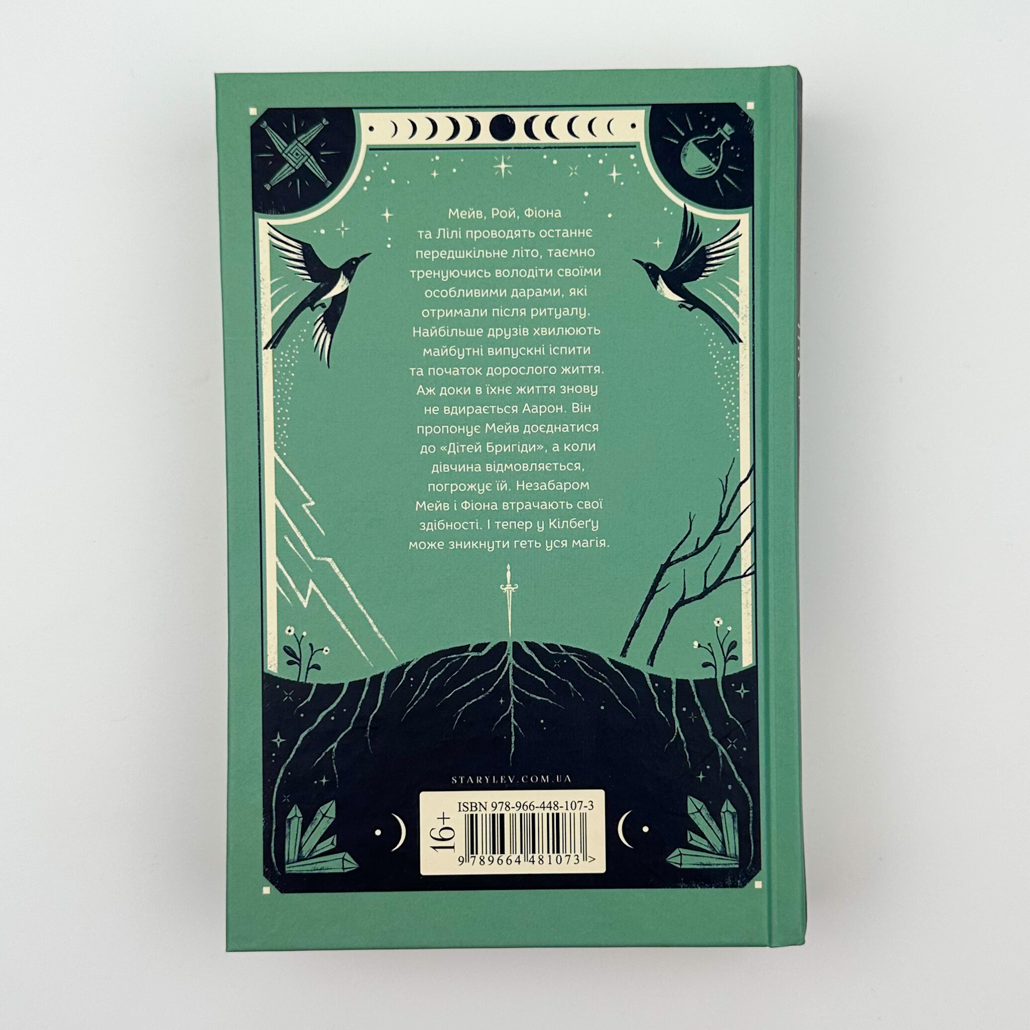 Дари, що зв’язують нас. Автор — Керолайн О'Доног'ю. 