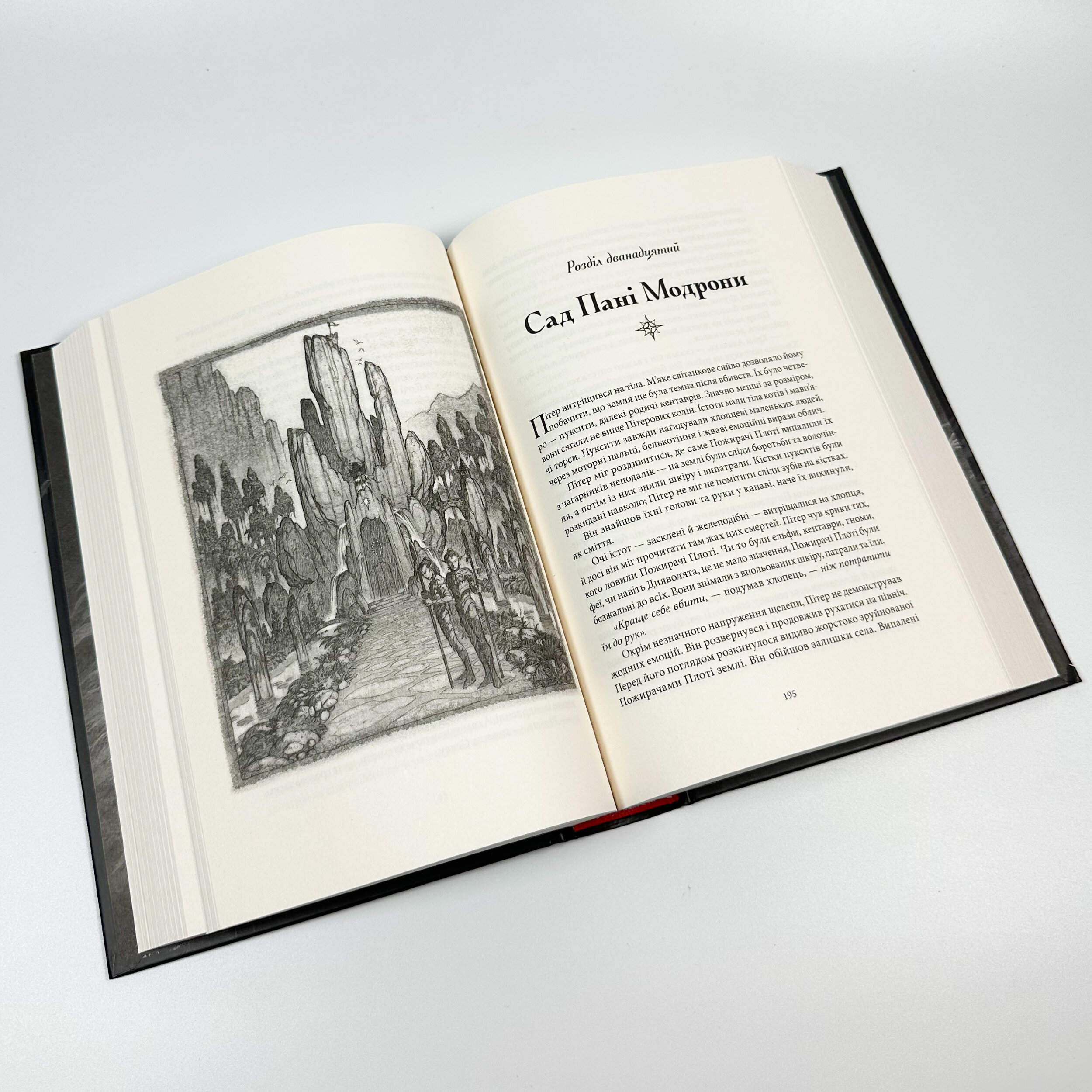 Викрадач дітей. Автор — Бром. 