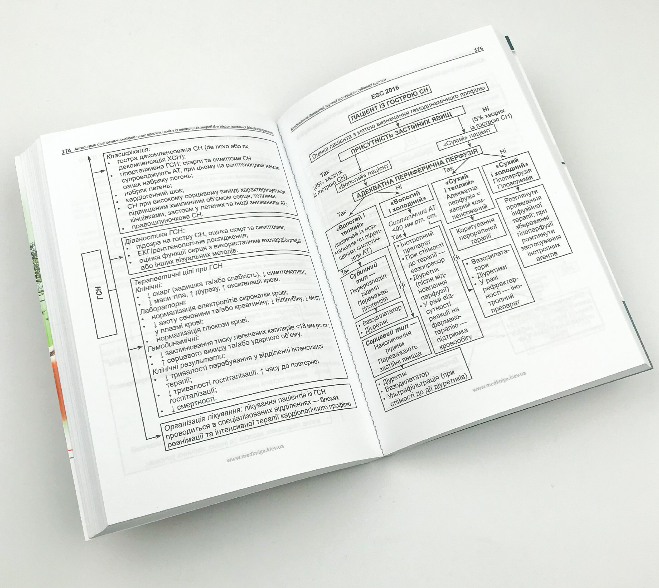 Захворювання дихальної, імунної та серцево-судинної систем. Книга 1. Автор — Кривенко В.І.. 