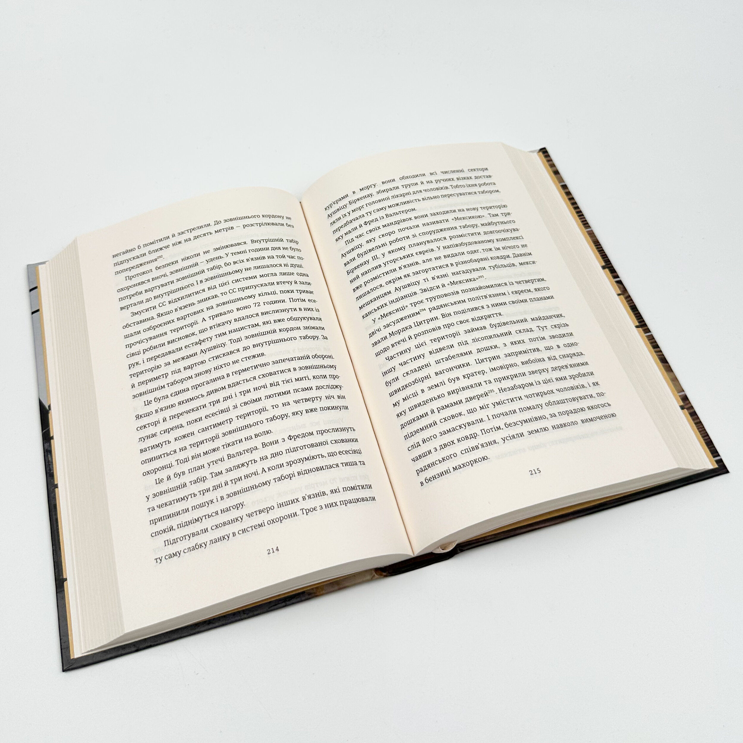 Майстер утечі. Людина, яка втекла з Аушвіцу, щоб попередити світ. Автор — Джонатан Фрідленд. 