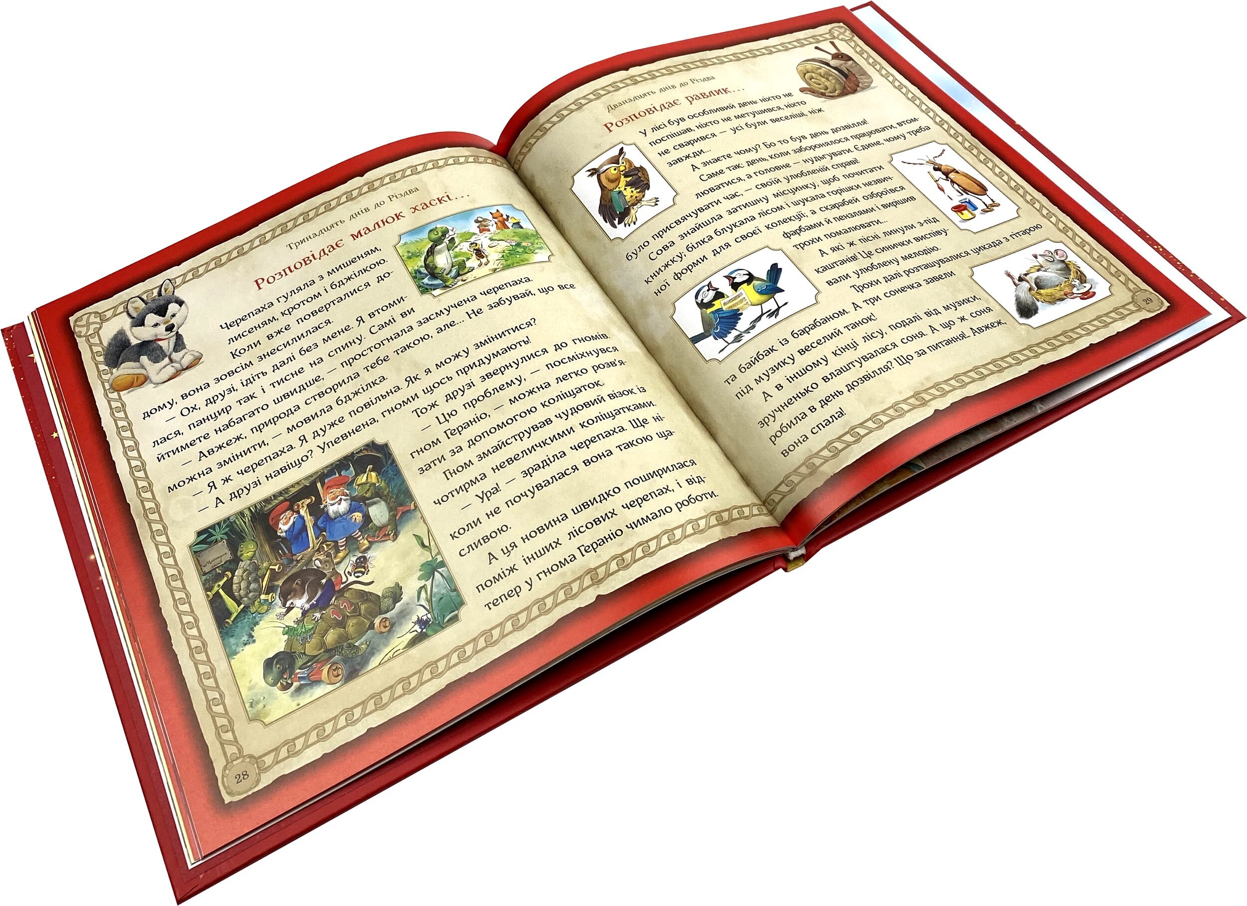 Магія Різдва. Автор — Д’Ачилле Сільвія. 