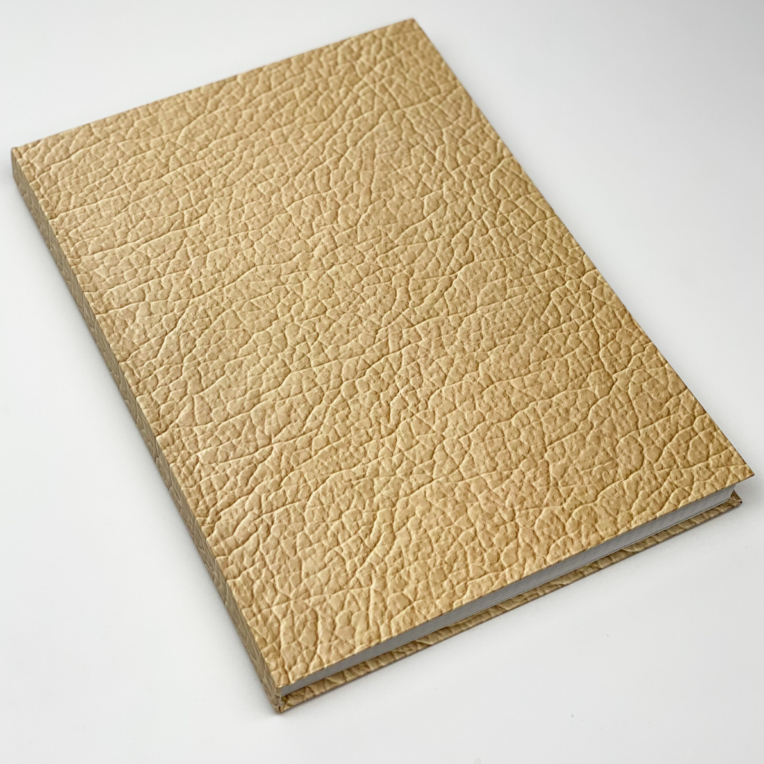 Канцелярська книга