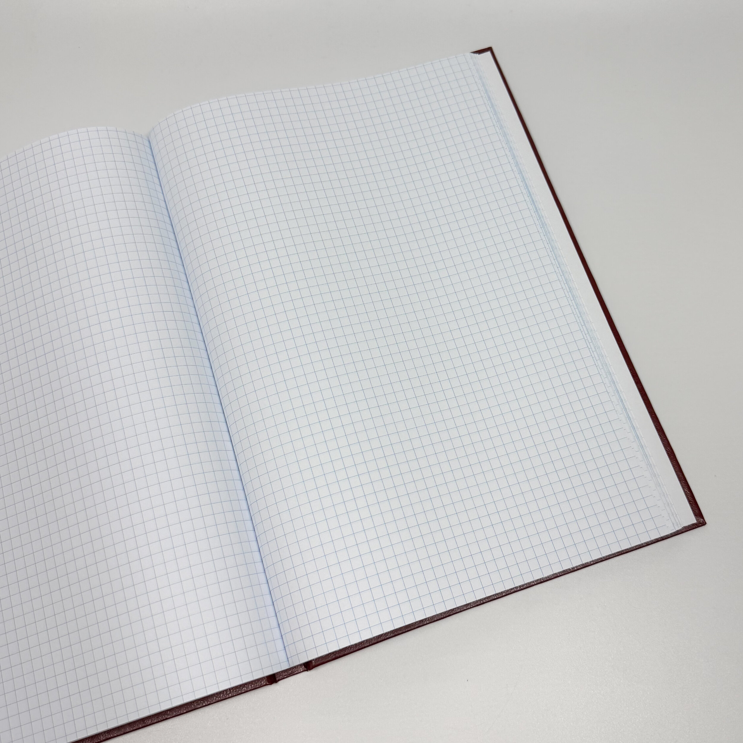 Канцелярська книга. . 