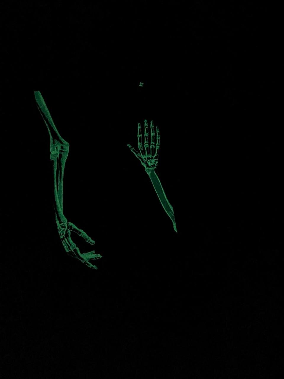 Закарбовано на кістках. Таємниці, які ми залишаємо після себе. Автор — Сью Блек. 